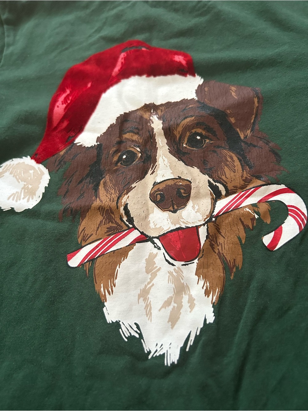 Tommy Bahama Kids Boys XS (4) Green Holiday Dog Santa Hat Graphic Tee Shirt - Picture 2 of 6